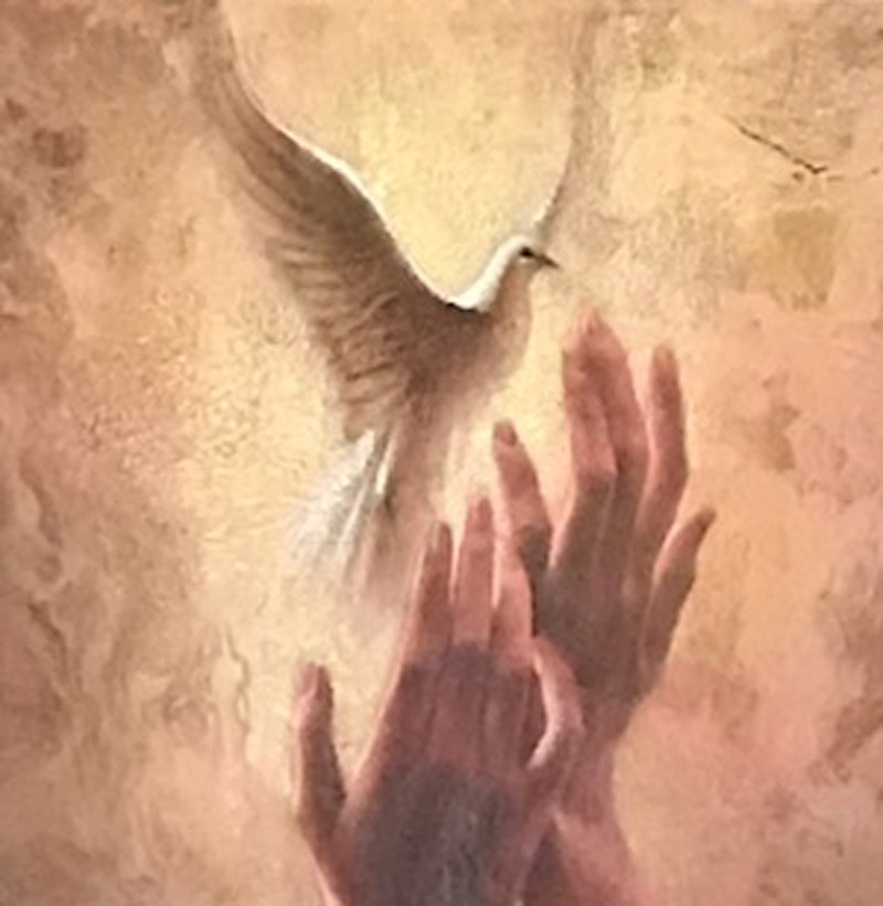 Dove and Hands Image